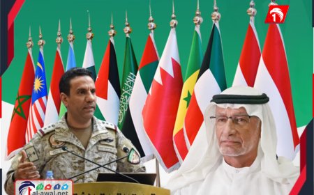 بعد تهديد قائد التحالف العربي للانتقالي.. رد إماراتي غير دبلوماسي لأستاذ العلوم السياسية