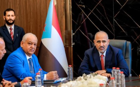 الرئيس الزُبيدي يطّلع على سير العمل في وزارتي الشؤون الاجتماعية والعمل والخدمة المدنية والتأمينات