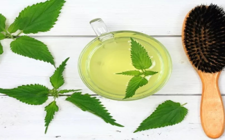 الشاي الاخضر يدعم نمو الشعر و يقلل تساقطه .. ولكن ماهي الطرق الصحيحة لاستخداماته في تعزيز نمو الشعر ؟