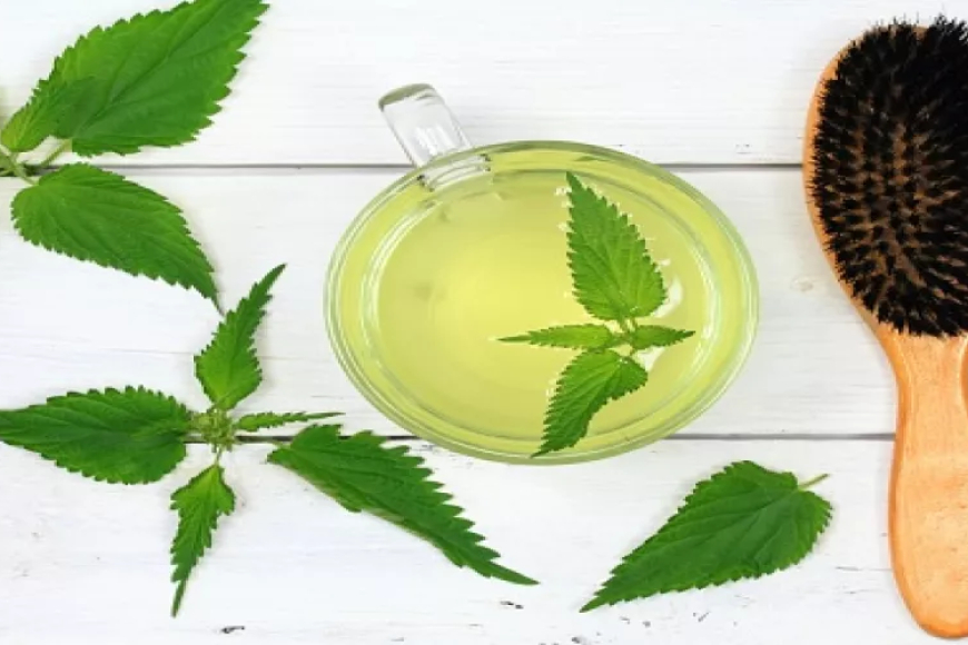 الشاي الاخضر يدعم نمو الشعر و يقلل تساقطه .. ولكن ماهي الطرق الصحيحة لاستخداماته في تعزيز نمو الشعر ؟