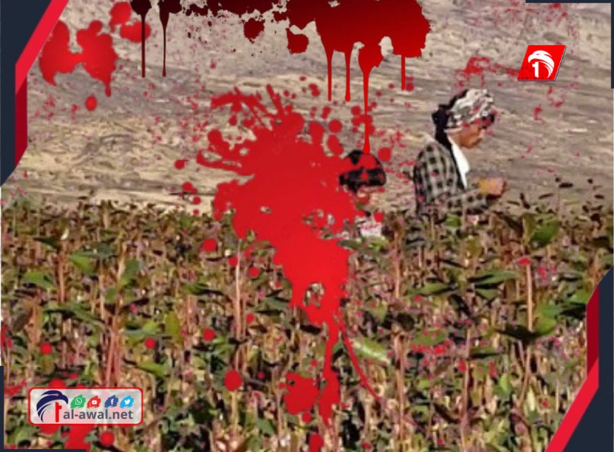 جريمة مروعة والسبب صادم!!.. قتيل و(3) جرحى في اشتباك مسلح في رداع بالبيضاء