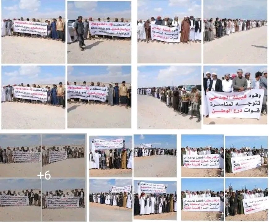 قبائل المهرة تجدد تمسكها بتمكين أبنائها وتعزيز الأمن والاستقرار