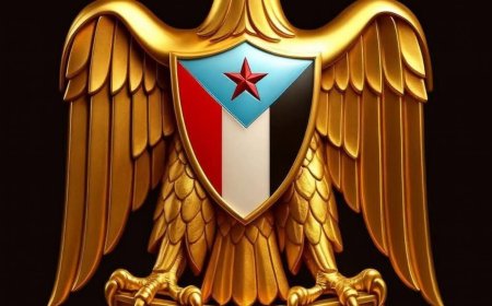 عاجل..الإعلان الدستوري الجديد للمجلس الانتقالي