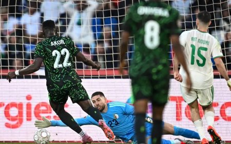 الجزائر تودع كأس إفريقيا أمام «النسور الممتازة»