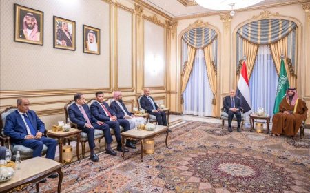 رئيس مجلس القيادة يبحث و وزير الدفاع السعودي مستجدات الاوضاع الوطنية وآفاق الشراكة الواعدة بين البلدين