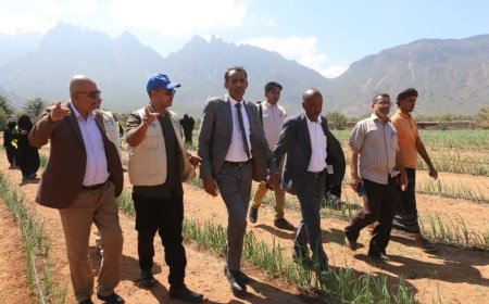 وفد وزارة الزراعة يقوم بزيارة ميدانية إلى مزرعة معنوفة بسقطرى