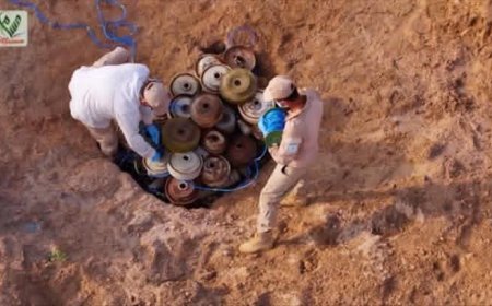 حصاد (مسام) لشهر يناير.. المشروع السعودي ينتزع نحو 4.9 آلاف مادة متفجرة