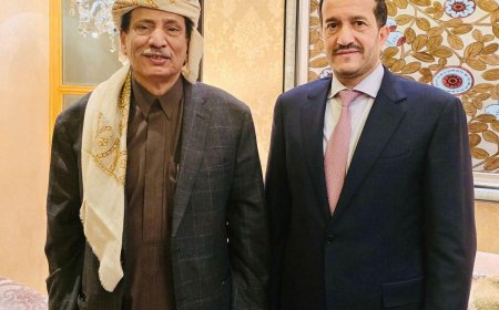 عضو مجلس القيادة الرئاسي عثمان محلي يشيد بجهود محافظ المهرة