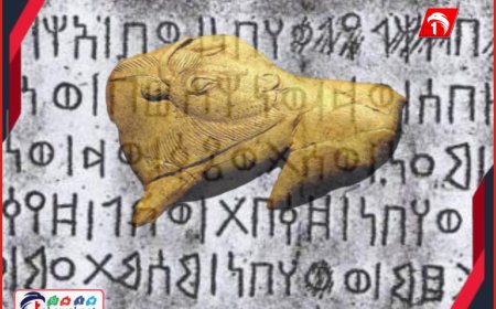 بعد شائعات (المدفن الذهبي)!!.. جريمة بحق التاريخ تحل بكهف (جرف القعطبي)