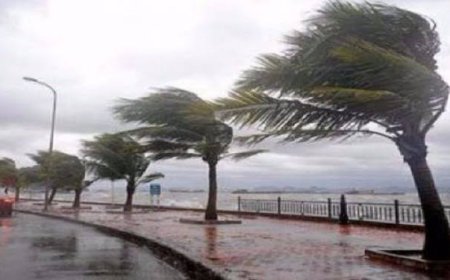 الاعصار في تونس يحصد الأرواح والممتلكات .. تفاصيل