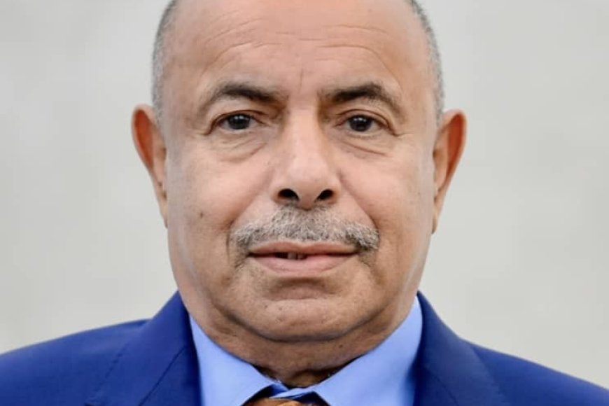 رئيس مجلس القيادة يكلف المحافظ سالم الخنبشي بتولي القيادة العامة لقوات درع الوطن في حضرموت