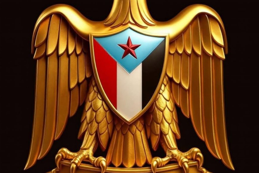 عاجل..الإعلان الدستوري الجديد للمجلس الانتقالي