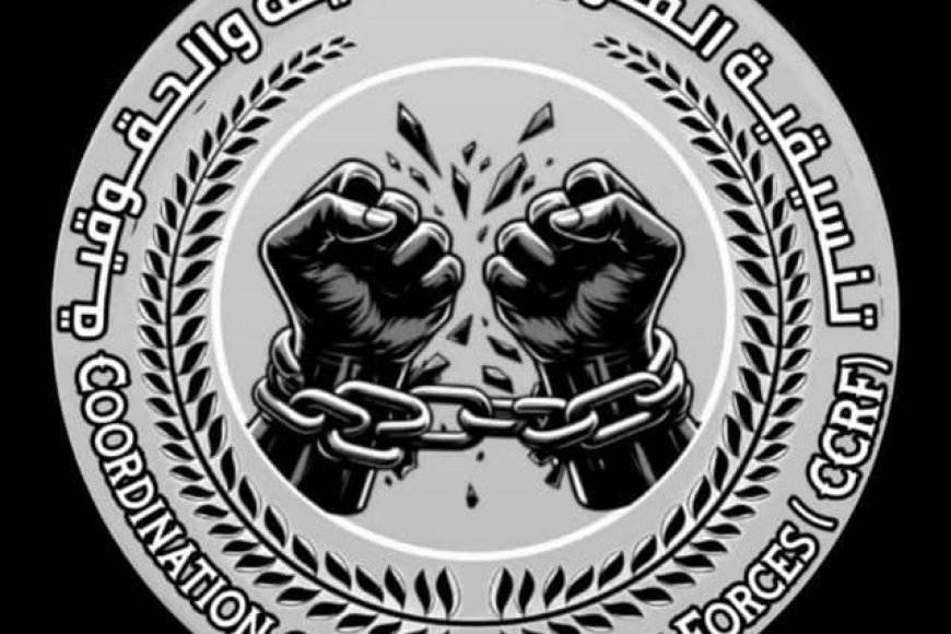 تنسيقية القوى المدنية والحقوقية بعدن تدعو لتظاهرة سلمية للمطالبة بالإفراج عن المعتقلين والمخفيين قسرًا