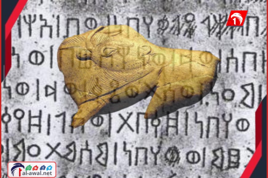 بعد شائعات (المدفن الذهبي)!!.. جريمة بحق التاريخ تحل بكهف (جرف القعطبي)