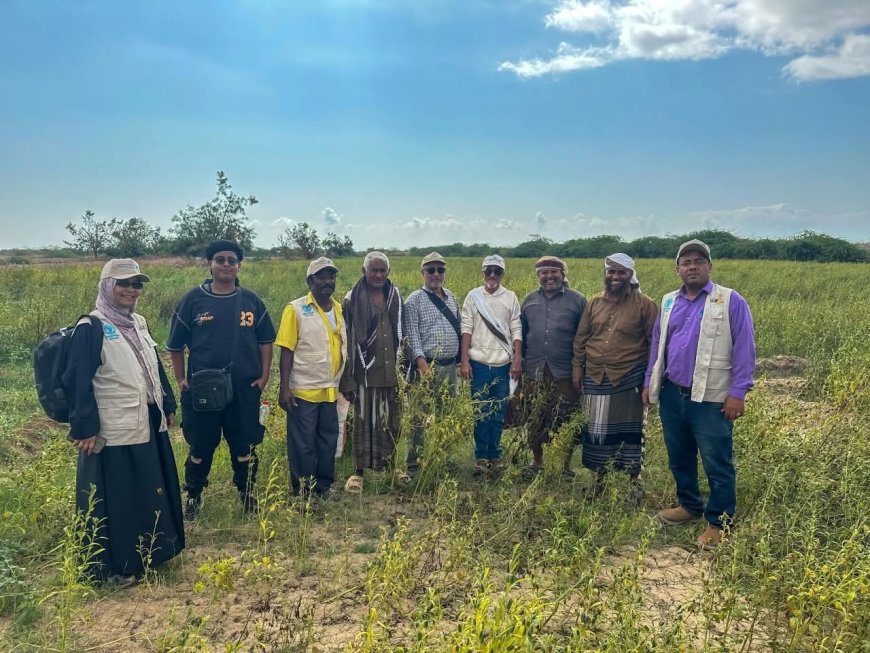 محطة أبحاث الكود الزراعية تدشن اليوم الحقل لمنتجي محاصيل الحبوب بأبين    