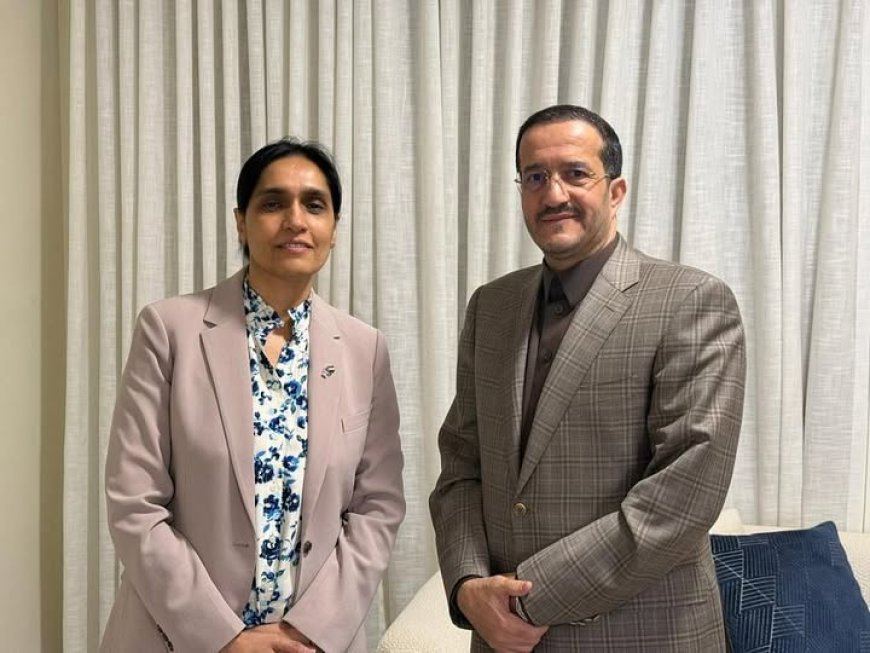 عضو مجلس القيادة عثمان مجلي يبحث مع السفيرة البريطانية العلاقات الثنائية