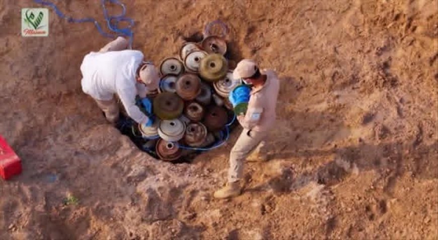 حصاد (مسام) لشهر يناير.. المشروع السعودي ينتزع نحو 4.9 آلاف مادة متفجرة