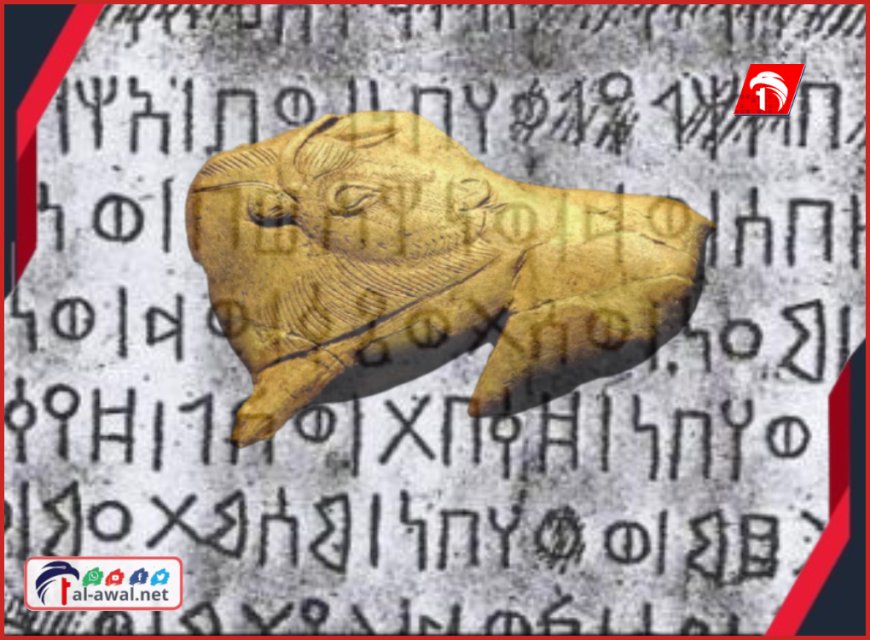 بعد شائعات (المدفن الذهبي)!!.. جريمة بحق التاريخ تحل بكهف (جرف القعطبي)