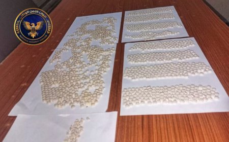 عملية تهريب من المكلا إلى عدن.. بالصور تفاصيل كشف شحنة المخدرات في نقطة (العلم)