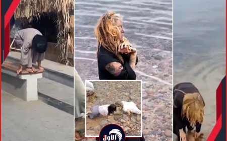 فيديوهات (الزومبي) لسياح أجانب في مصر تشعل منصات التواصل وتدخل أمني.. تفاصيل صادمة!!