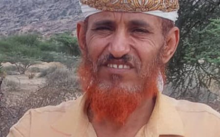 أبين.. إشهار تنصيب عارف أحمد صالح دباء السالمي شيخًا لقبيلة آل سالم