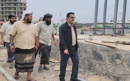 مدير عام المنصورة يتفقد مستوى إنجاز مشروع "إنشاء متنفس مثلث دوار السفينة"..