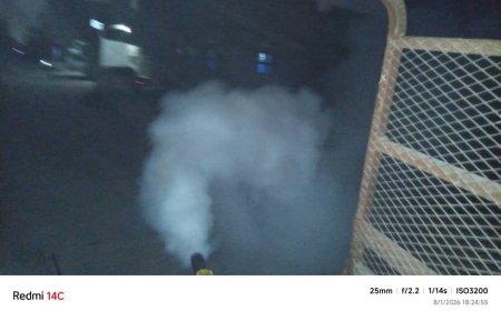 قسم صحة البيئة يواصل تنفيذ حملات الرش الضبابي في الشيخ عثمان