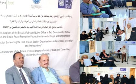 مؤسسة حماية القانون تختتم ورشة تدريبية حول الحوكمة والرقابة والشفافية بتعز