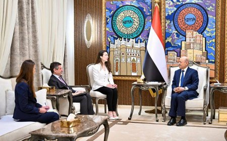 دعم أميركي لجهود مجلس القيادة الرئاسي اليمني