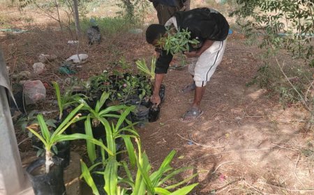 شراكة خضراء تعزز البيئة التعليمية في كلية الحقوق بجامعة عدن 