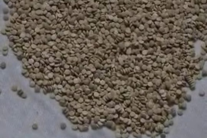 كتيبة أمن منفذ الوديعة تُحبط تهريب آلاف الحبوب المخدرة المتجهة للسعودية