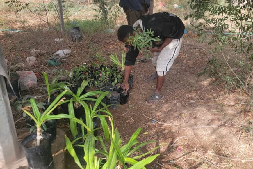 شراكة خضراء تعزز البيئة التعليمية في كلية الحقوق بجامعة عدن&nbsp;