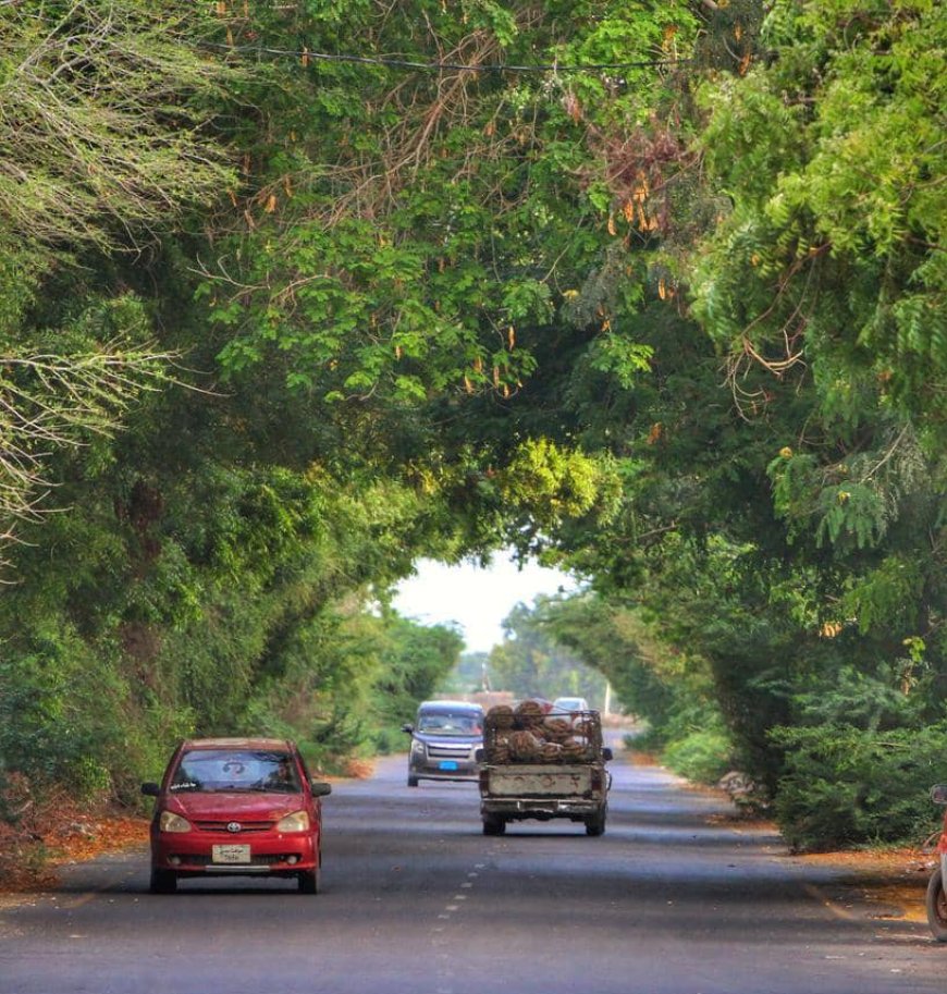 بين نزيف الخنادق وجفاء الفنادق.. أبين والبحث عن الإنصاف