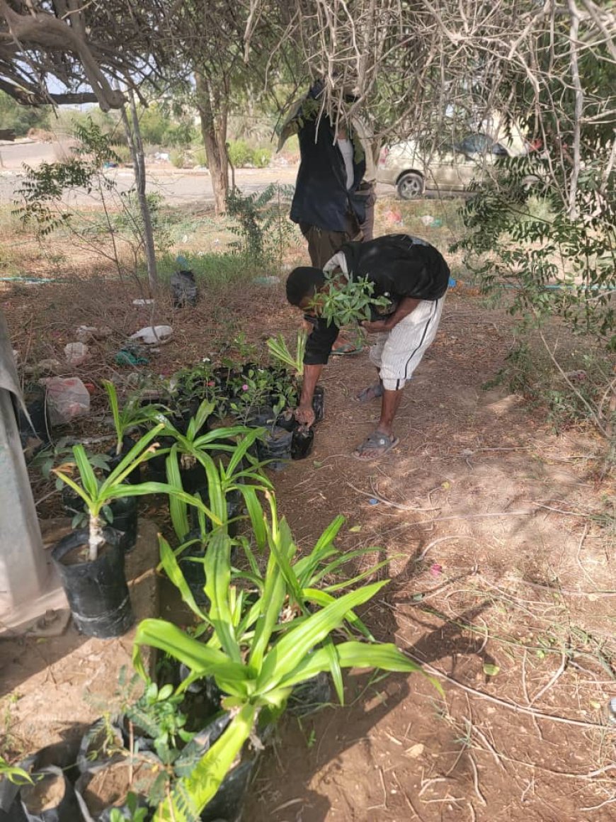 شراكة خضراء تعزز البيئة التعليمية في كلية الحقوق بجامعة عدن 