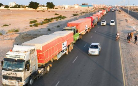 بدعم سعودي ورعاية المحافظ عبدالرحمن شيخ استمرار توزيع 17100 سلة غذائية لمنتسبي التربية والتعليم بالعاصمة عدن