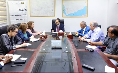 وزير الكهرباء يبحث مع برنامج الأمم المتحدة الإنمائي تعزيز التعاون في مشاريع الطاقة المتجددة