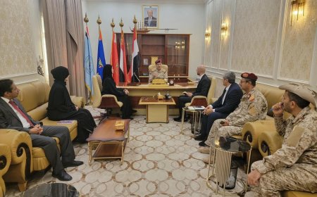 وزير الدفاع يبحث مع الصليب الأحمر تعزيز التعاون الإنساني 