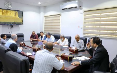 وزير الكهرباء يبحث مع شركة صينية إنشاء محطة طاقة شمسية بقدرة 50 ميجاوات في حضرموت