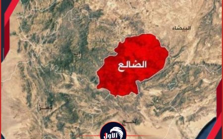 بالصورة..جريمة تهز (سوق سناح) ومحافظ الضالع يوجه بسرعة القبض على الجاني