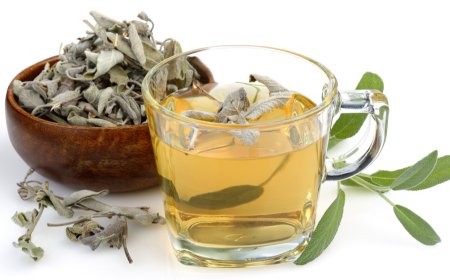 الميرامية.. العشبة التي تعتبر كنز للنساء .. إليكِ سيدتي  فوائدها