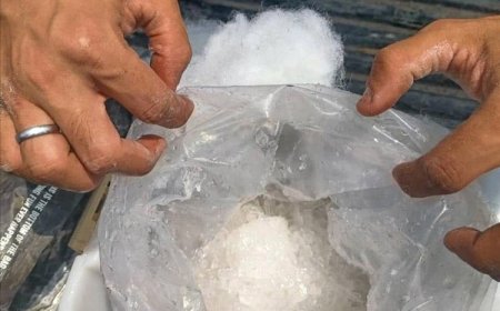 كارثة بالفيديو والصور في ساحل أبين.. ضبط (شبو) مخدر داخل محلات تأجير الشيش بخور مكسر