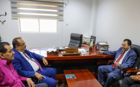 وزير الكهرباء يلتقي نائب محافظ لحج ويؤكد بدء توريد الإيرادات إلى حساب البنك المركزي