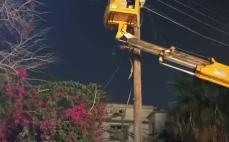 استمرار أعمال صيانة وتشغيل كشافات الإنارة في أحياء خورمكسر