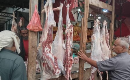 تنفيذًا لتوجيهات مدير عام المديرية " الدكتور الشوبجي "..مكتب الصناعة والتجارة في البريقة يغلق 13 ملحمة مخالفة للتسعيرة الرسيمة لبيع اللحوم