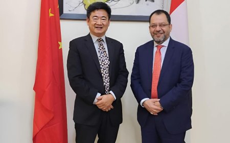 وزير الكهرباء يؤكد أهمية الشراكة مع الصين لتطوير البنية التحتية للطاقة