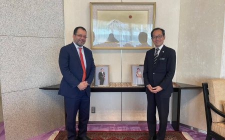 وزير الكهرباء يبحث مع اليابان دعم مشاريع الطاقة المتجددة في اليمن