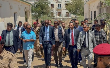 محافظ لحج الحالمي ووكيل وزارة الزراعة والقائمَ بأعمال الممثل المقيم لمنظمة(الفاو) في اليمن يطلعوا على مشاريع تنموية زراعية بالمحافظة  