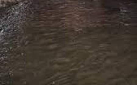 عاجل وخطير.. سيول مفاجئة تتجه نحو (لحج وعدن) تحذيرات للسكان (صور)