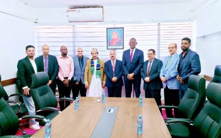 وزير النقل يناقش مع سلطات الطيران التنزانية تعزيز التعاون في قطاع النقل الجوي وتفعيل الرحلات المباشرة