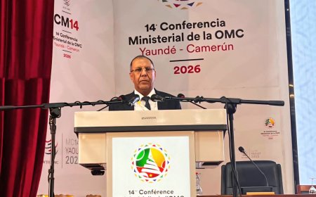 اليمن يؤكد دعمه لأجندة التنمية والاستثمار والزراعة في مؤتمر منظمة التجارة العالمية